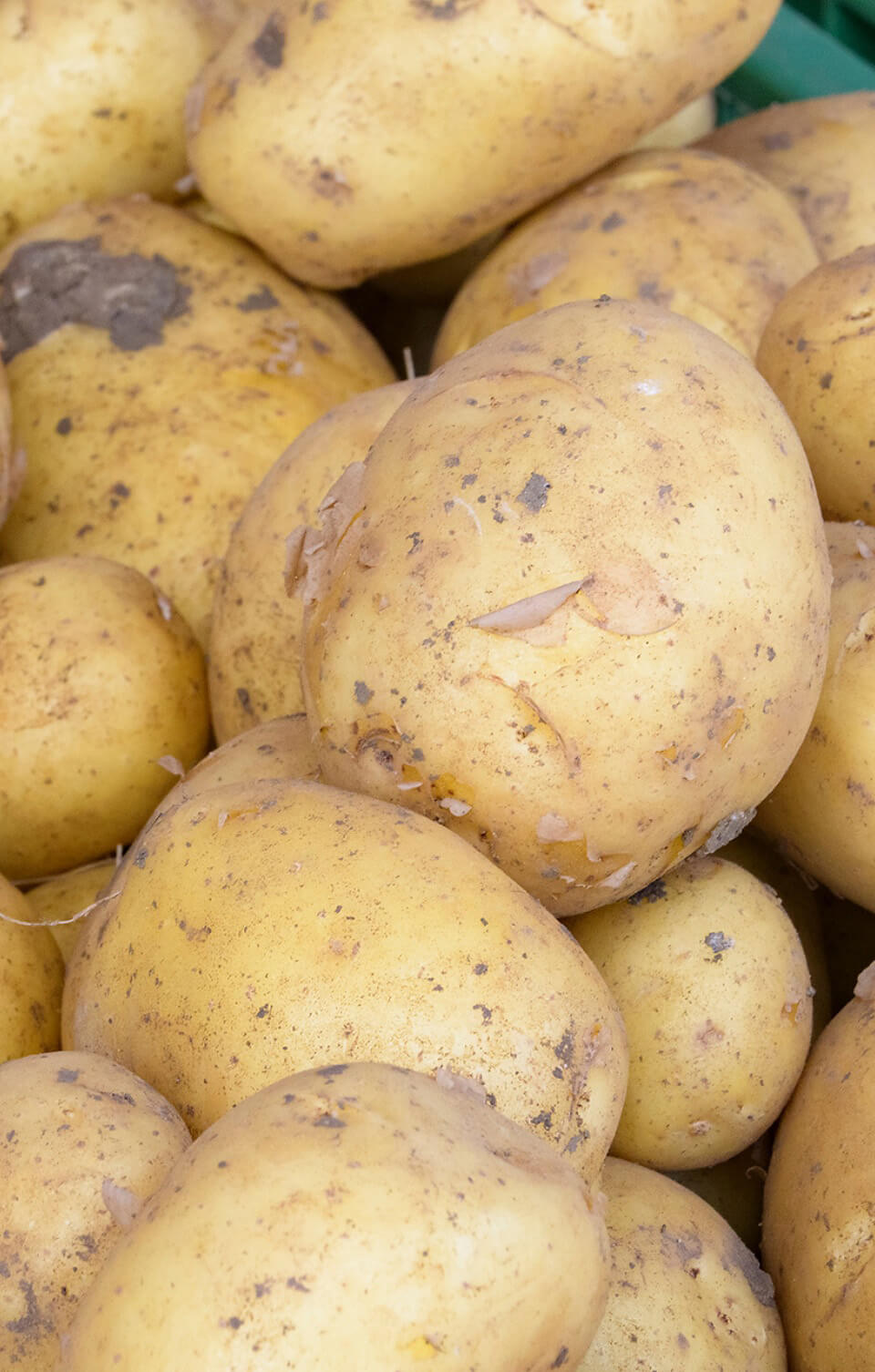 Kartoffeln in einem Haufen