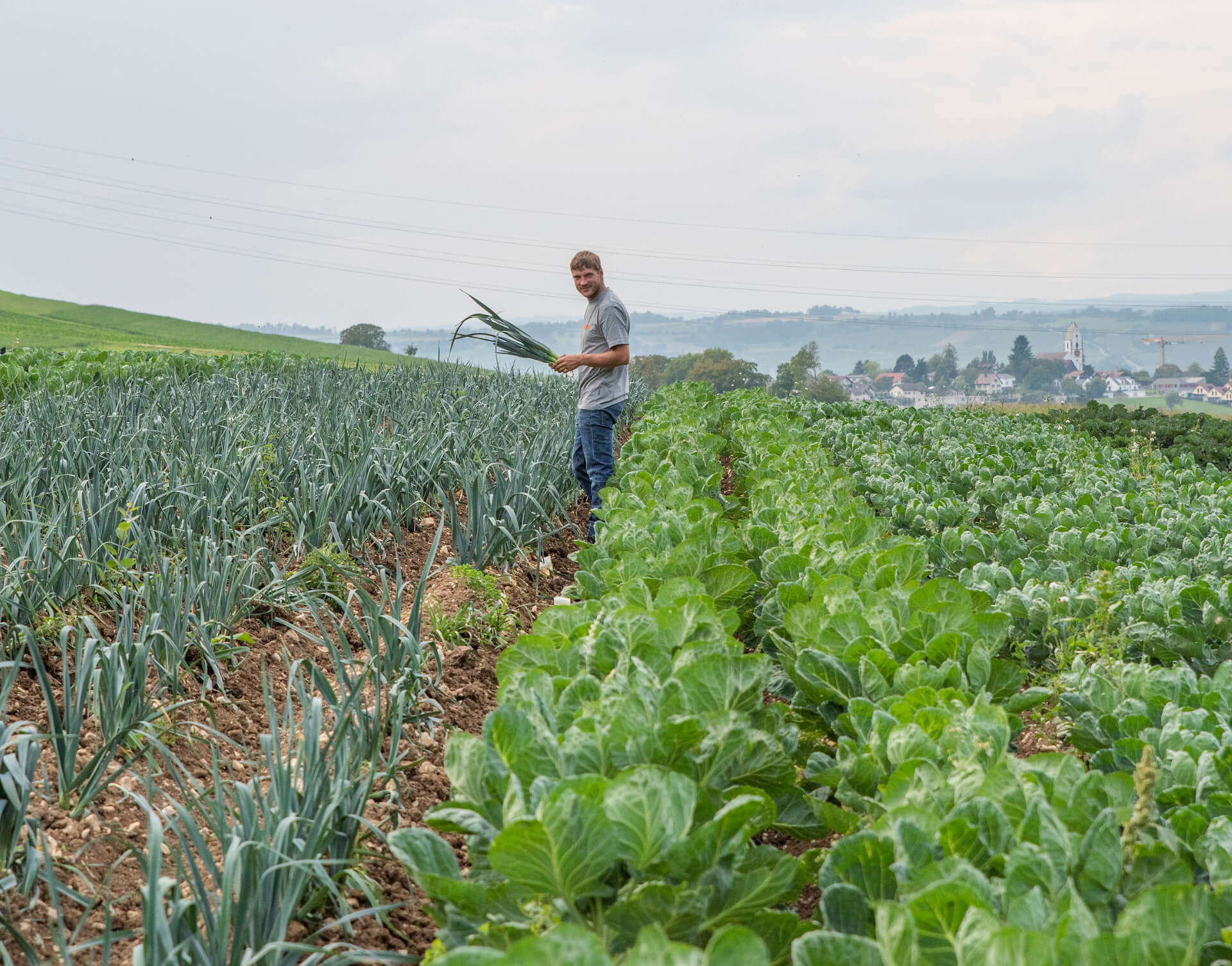 Landwirt auf einem Gemüsefeld zwischen Reihen von Lauch und Kohlrabi
