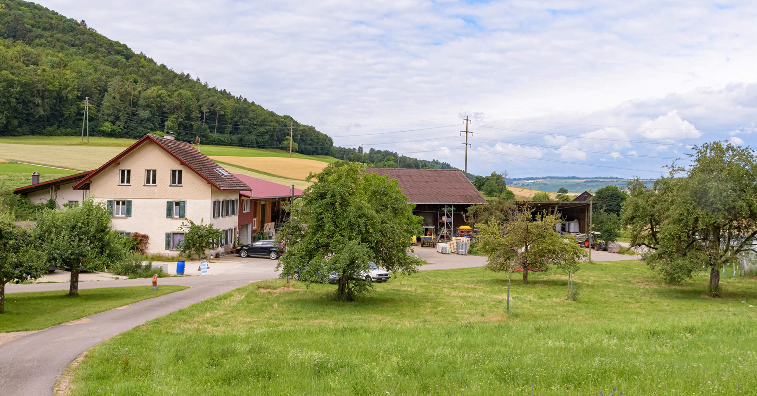 Ländliches Gehöft mit Wohnhaus, Scheune und Feldern vor bewaldetem Hügel